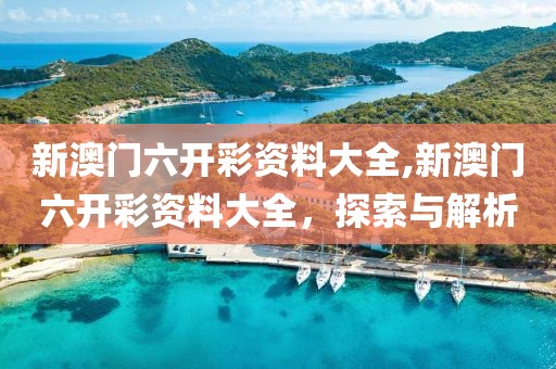 新澳门六开彩资料大全,新澳门六开彩资料大全，探索与解析
