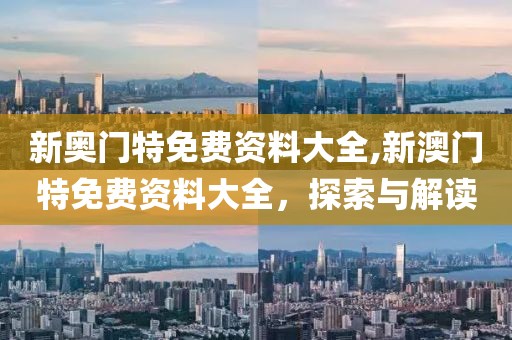 新奥门特免费资料大全,新澳门特免费资料大全，探索与解读