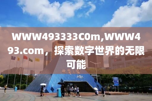 WWW493333C0m,WWW493.com，探索数字世界的无限可能