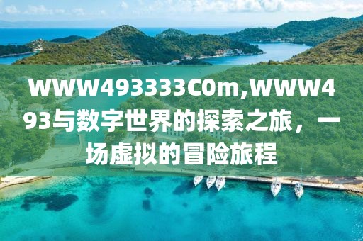 WWW493333C0m,WWW493与数字世界的探索之旅，一场虚拟的冒险旅程