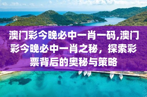 澳门彩今晚必中一肖一码,澳门彩今晚必中一肖之秘，探索彩票背后的奥秘与策略