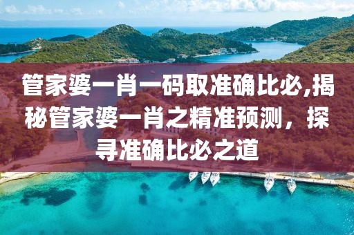 管家婆一肖一码取准确比必,揭秘管家婆一肖之精准预测，探寻准确比必之道