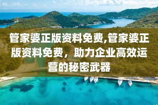 管家婆正版资料免费,管家婆正版资料免费，助力企业高效运营的秘密武器