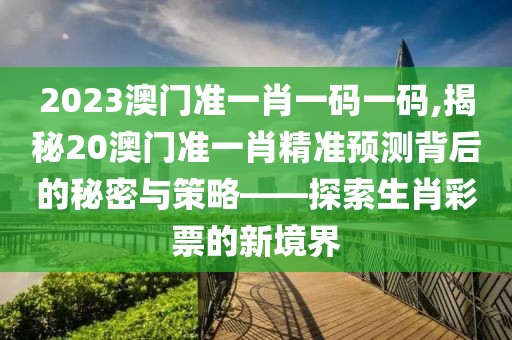2023澳门准一肖一码一码,揭秘20澳门准一肖精准预测背后的秘密与策略——探索生肖彩票的新境界