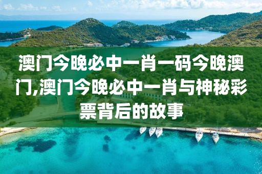 澳门今晚必中一肖一码今晚澳门,澳门今晚必中一肖与神秘彩票背后的故事