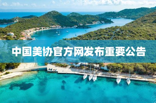 中国美协官方网发布重要公告