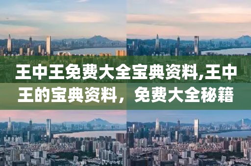 王中王免费大全宝典资料,王中王的宝典资料，免费大全秘籍