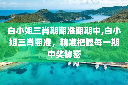 白小姐三肖期期准期期中,白小姐三肖期准，精准把握每一期中奖秘密
