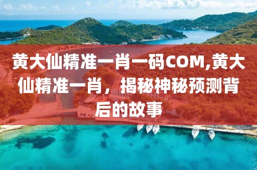 黄大仙精准一肖一码COM,黄大仙精准一肖，揭秘神秘预测背后的故事