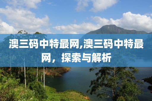 澳三码中特最网,澳三码中特最网，探索与解析