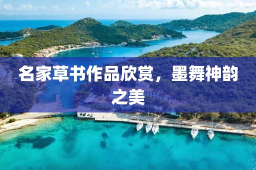 名家草书作品欣赏，墨舞神韵之美