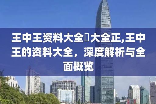 王中王资料大全枓大全正,王中王的资料大全，深度解析与全面概览