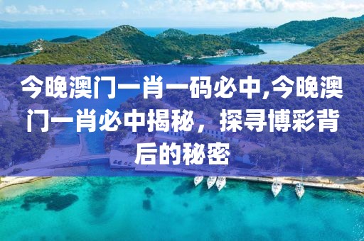今晚澳门一肖一码必中,今晚澳门一肖必中揭秘，探寻博彩背后的秘密