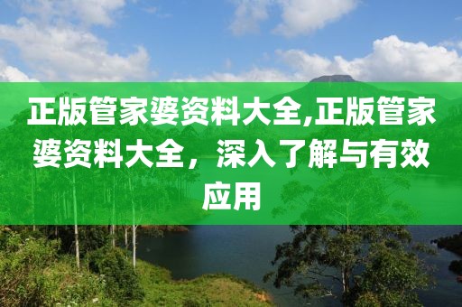 正版管家婆资料大全,正版管家婆资料大全，深入了解与有效应用