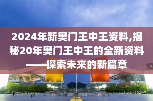 2024年新奥门王中王资料,揭秘20年奥门王中王的全新资料——探索未来的新篇章
