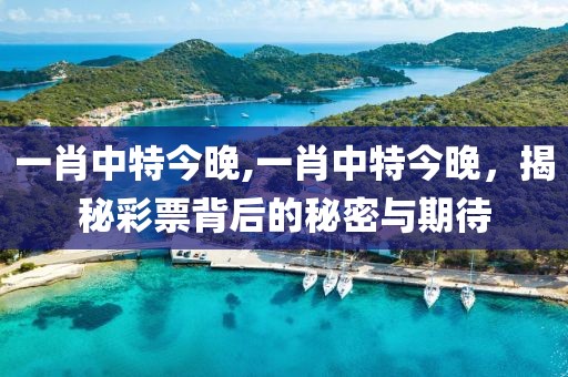一肖中特今晚,一肖中特今晚，揭秘彩票背后的秘密与期待