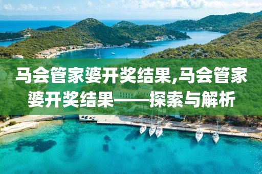 马会管家婆开奖结果,马会管家婆开奖结果——探索与解析