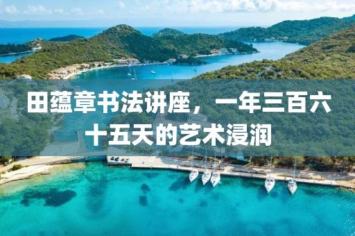 田蕴章书法讲座，一年三百六十五天的艺术浸润