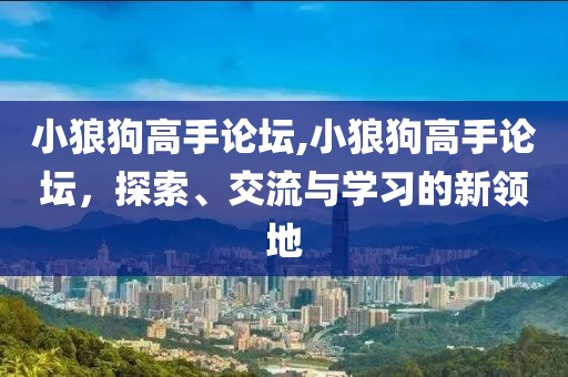 小狼狗高手论坛,小狼狗高手论坛，探索、交流与学习的新领地