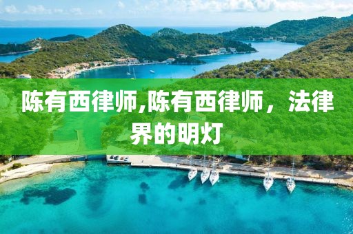 陈有西律师,陈有西律师，法律界的明灯