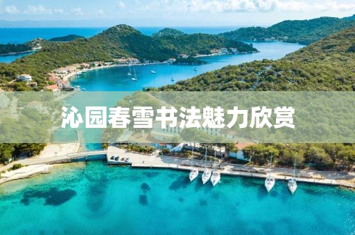 沁园春雪书法魅力欣赏