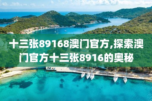 十三张89168澳门官方,探索澳门官方十三张8916的奥秘