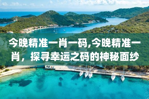 今晚精准一肖一码,今晚精准一肖，探寻幸运之码的神秘面纱