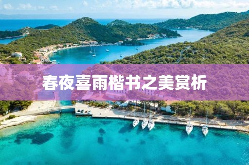 春夜喜雨楷书之美赏析