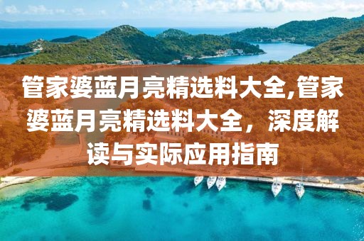 管家婆蓝月亮精选料大全,管家婆蓝月亮精选料大全，深度解读与实际应用指南