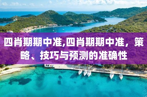 四肖期期中准,四肖期期中准，策略、技巧与预测的准确性