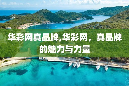 华彩网真品牌,华彩网，真品牌的魅力与力量