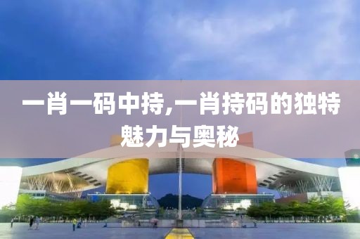 一肖一码中持,一肖持码的独特魅力与奥秘