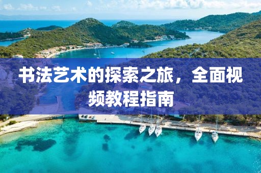 书法艺术的探索之旅，全面视频教程指南