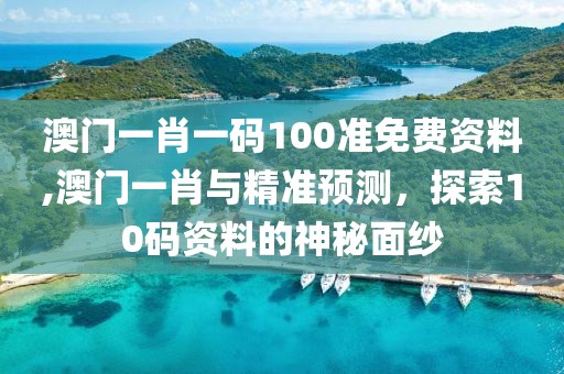 澳门一肖一码100准免费资料,澳门一肖与精准预测，探索10码资料的神秘面纱