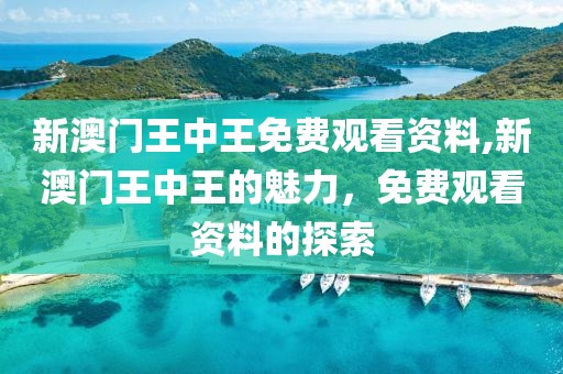 新澳门王中王免费观看资料,新澳门王中王的魅力，免费观看资料的探索