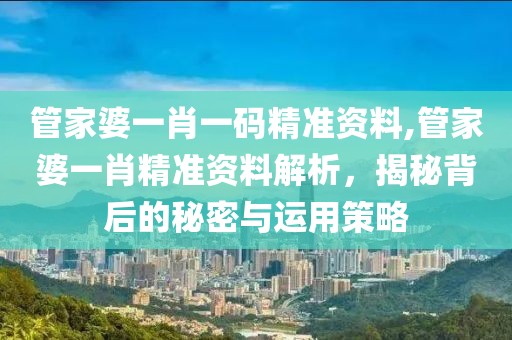 管家婆一肖一码精准资料,管家婆一肖精准资料解析，揭秘背后的秘密与运用策略