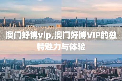 澳门好博vip,澳门好博VIP的独特魅力与体验