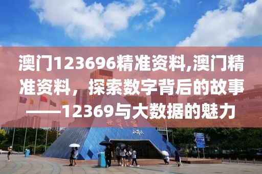 澳门123696精准资料,澳门精准资料，探索数字背后的故事——12369与大数据的魅力