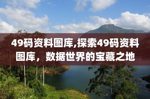 49码资料图库,探索49码资料图库，数据世界的宝藏之地