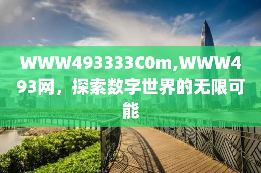 WWW493333C0m,WWW493网，探索数字世界的无限可能