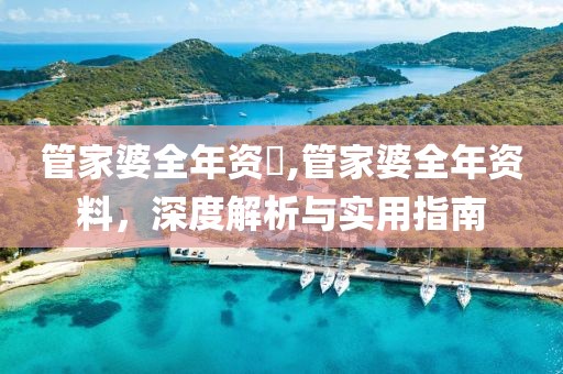 管家婆全年资枓,管家婆全年资料，深度解析与实用指南