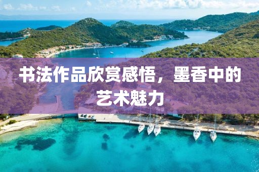 书法作品欣赏感悟，墨香中的艺术魅力