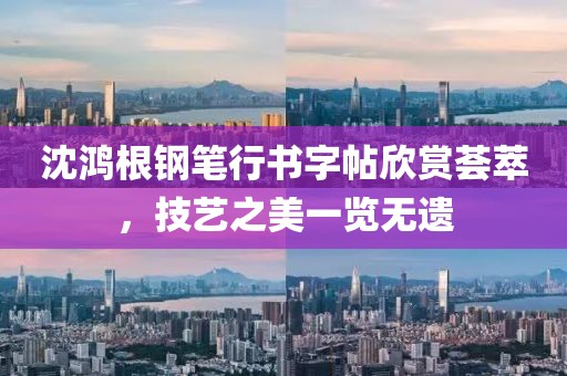 沈鸿根钢笔行书字帖欣赏荟萃，技艺之美一览无遗