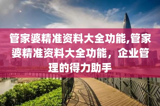 管家婆精准资料大全功能,管家婆精准资料大全功能，企业管理的得力助手