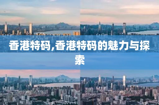 香港特码,香港特码的魅力与探索