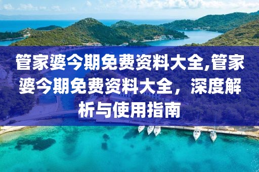 管家婆今期免费资料大全,管家婆今期免费资料大全，深度解析与使用指南
