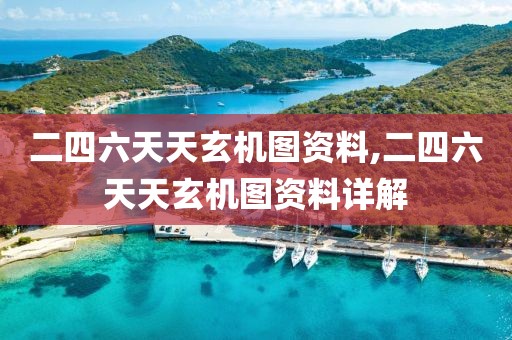 二四六天天玄机图资料,二四六天天玄机图资料详解