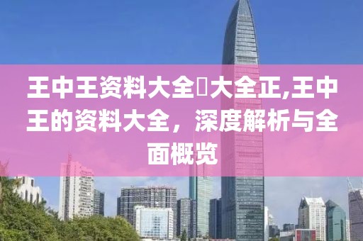 王中王资料大全枓大全正,王中王的资料大全，深度解析与全面概览