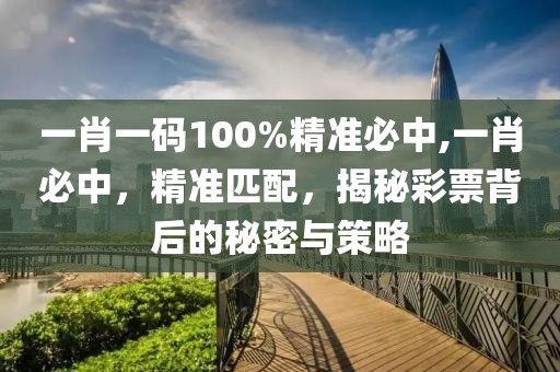 一肖一码100%精准必中,一肖必中，精准匹配，揭秘彩票背后的秘密与策略