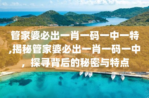 管家婆必出一肖一码一中一特,揭秘管家婆必出一肖一码一中，探寻背后的秘密与特点